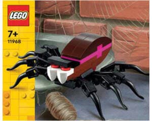 Spider