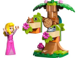 Aurora's Forest Playground