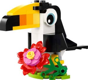 Tropical Toucan