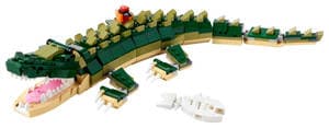 Crocodile