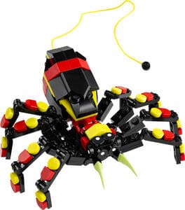 Wild Animals: Surprising Spider