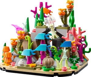 Coral Reef Diorama