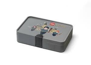 Sorting Box with Harry Potter Print