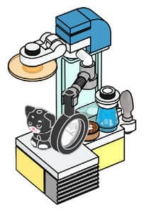 Kitten at the Vet