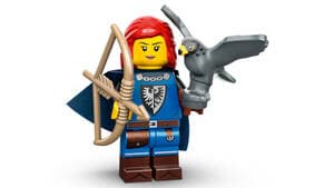Falconer