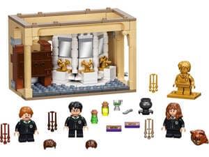 Hogwarts: Polyjuice Potion Mistake