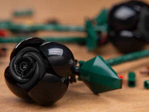 Black Roses